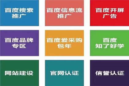 某品牌通过SEM关键词实现品牌推广的实战案例